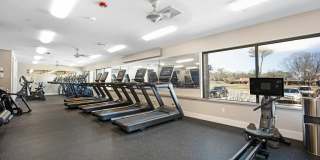 Renaissance Bay Gallery 39