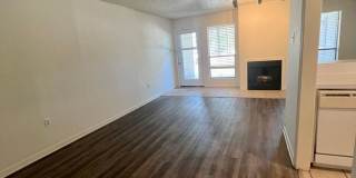 Spacious 1 Bedroom Gallery 5