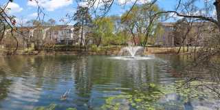 21877 ELKINS Terrace Gallery 29