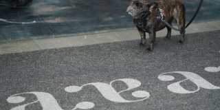 The Apartment Residences at AKA Gallery 27