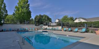 Island Club Gallery 19