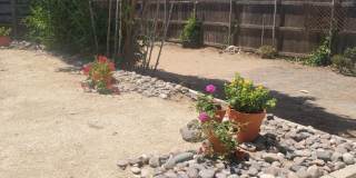 Recently Upgraded and Refreshed House with Pool and Casita Gallery 24