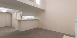 Canyon Creek Gallery 7