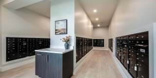 Arcadia 331 Gallery 22