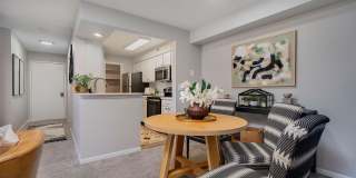 Steeplechase Gallery 33