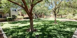 10809 Garden Mist Drive Gallery 28