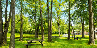 Hampton Court Gallery 4