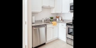 Mill Street Gardens Gallery 13