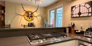Fully Furnished Rockmont Heights Home with Sunroom, Multiple Fireplaces & Private Yard Fully Furnished Rockmont Heights Home with Sunroom, Multiple Fireplaces & Private Yard Gallery 20