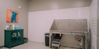 Brookfield Reserve Gallery 19