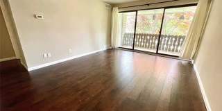2116 PAULINE BLVD APT 304 Gallery 7