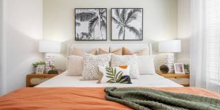 Alta Citron Gallery 53