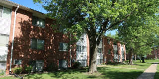 Pine Ridge Gallery 1