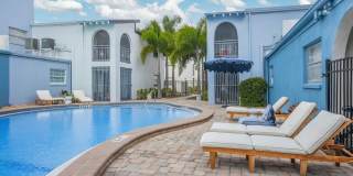 The Madeira Gallery 4