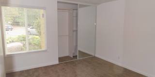 Birch Meadow Gallery 12