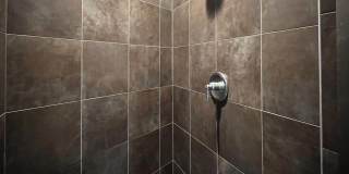 2064 HERSCHEL Street Gallery 16