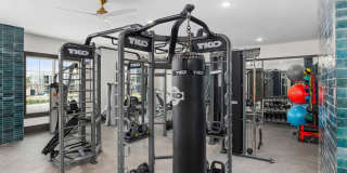 The Premier Gallery 13