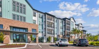 RISE Sereno Gallery 1