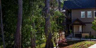 2 Bedroom 1 Bath 957 sq ft Gallery 161