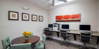 Oasis at Montclair Gallery 13