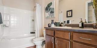 St. James at Goose Creek Apartments Gallery 6