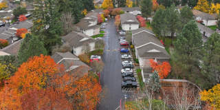 Eleven Pines Gallery 19