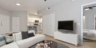 Monte Viejo Gallery 12