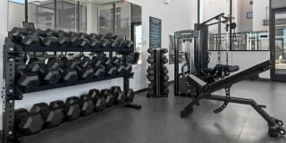 The Battery PHX Gallery 45