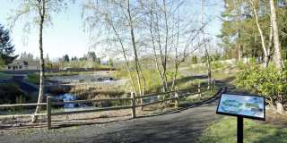 The Signature Gallery 61