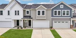 Poplin Trace Gallery 26