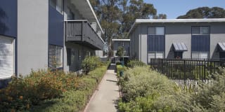 Monterey Townhouse Gallery 65