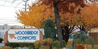 1202 Woodbridge Commons Way Gallery 1