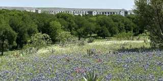 Modera Walsh Gallery 36