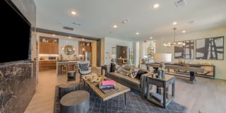 Palmetto Pointe Gallery 8