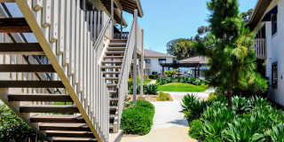 La Jolla Canyon Gallery 35