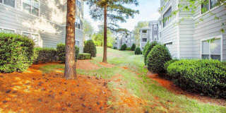 Seasons at Umstead Gallery 30