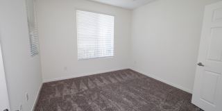 Alta South Bay Gallery 16