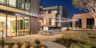 The Village Drey Gallery 44