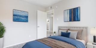 Bella Vista Gallery 13