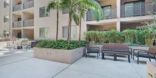 Wilshire Valencia Gallery 26