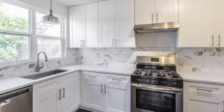 17009 Ardisia Drive Gallery 7