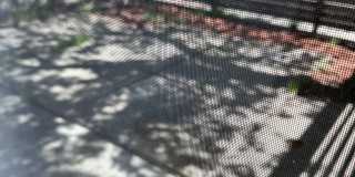 2169 48th Avenue - A Gallery 5