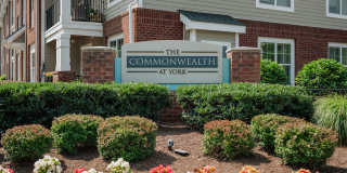 Commonwealth at York Gallery 52