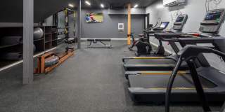 The Frankie Gallery 30