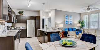 Springs at Posner Park Gallery 4