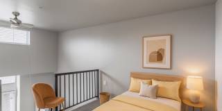 Novo Novo Gallery 14