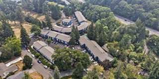 Timberlee Gallery 18