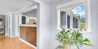 29678 Aspen Lane Gallery 4