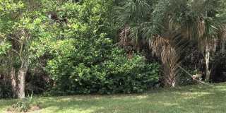 8625 Plum Cay Gallery 22