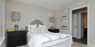 River Vista Gallery 10